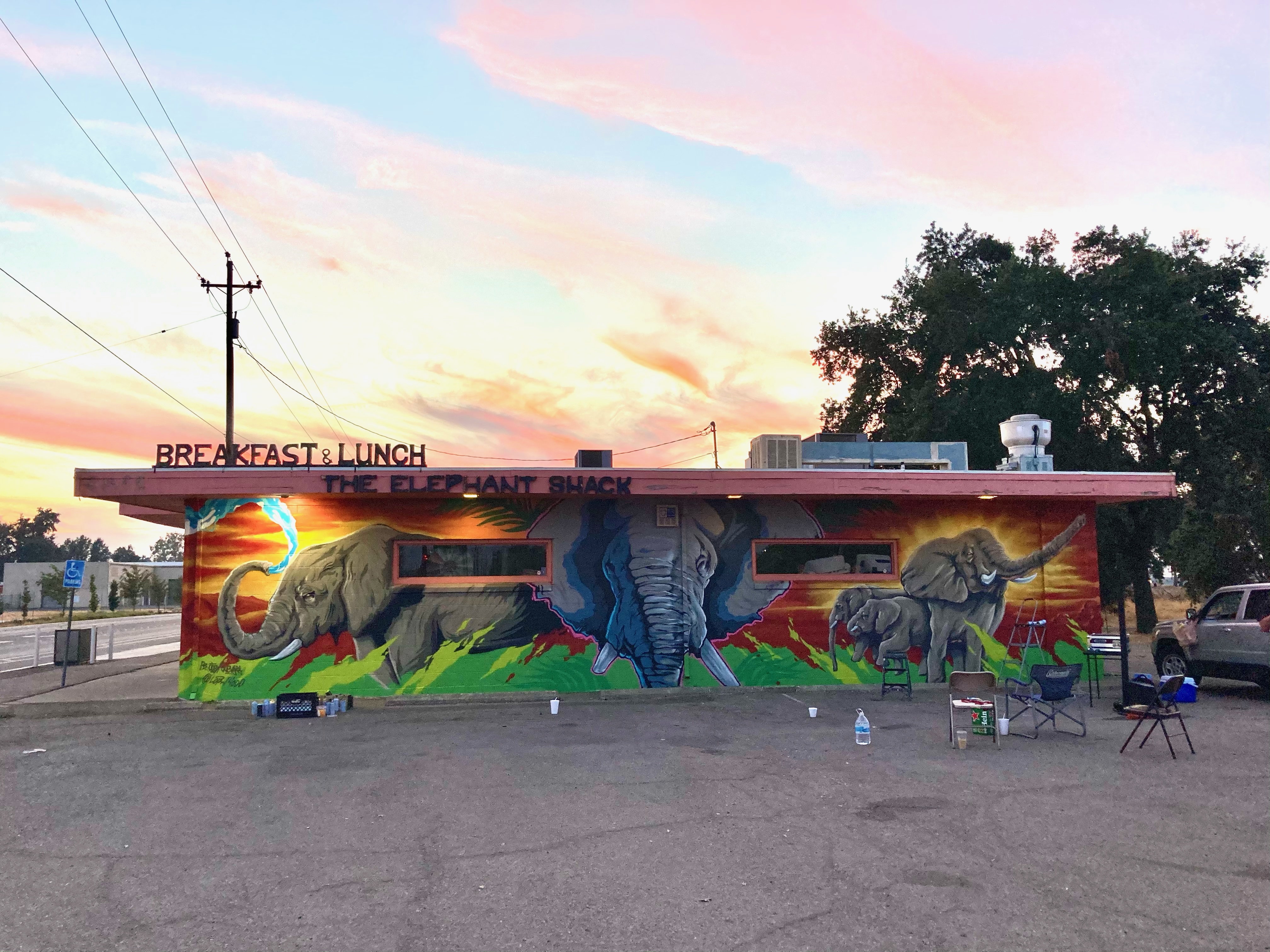 Elephant Shack